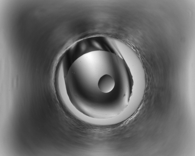 X0000095130150200712211337