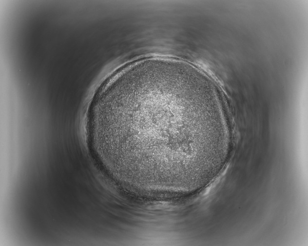 X0000095130151200712211337