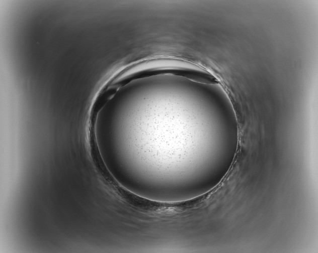 X0000095130152200712211337