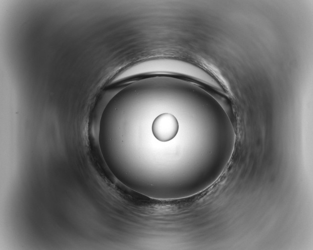 X0000095130154200712211337