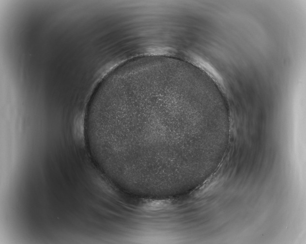 X0000095130155200712211337