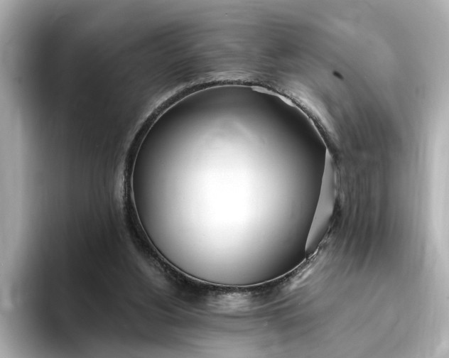 X0000095130156200712211337