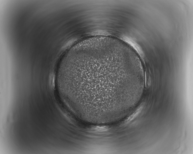 X0000095130157200712211337