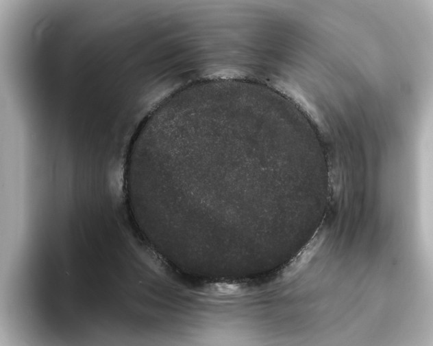 X0000095130159200712211337