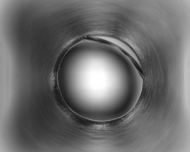 X0000095130160200712211337