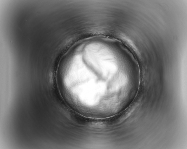 X0000095130161200712211337