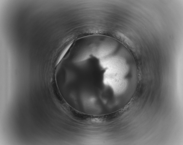 X0000095130163200712211337