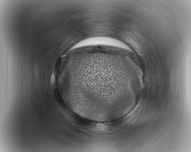 X0000095130166200712211337