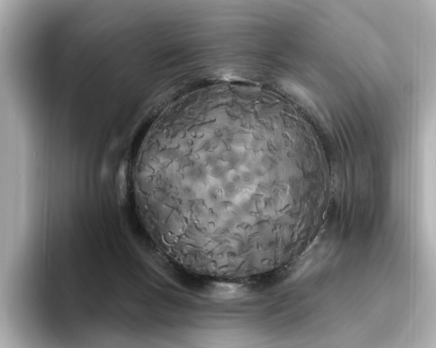 X0000095130167200712211337