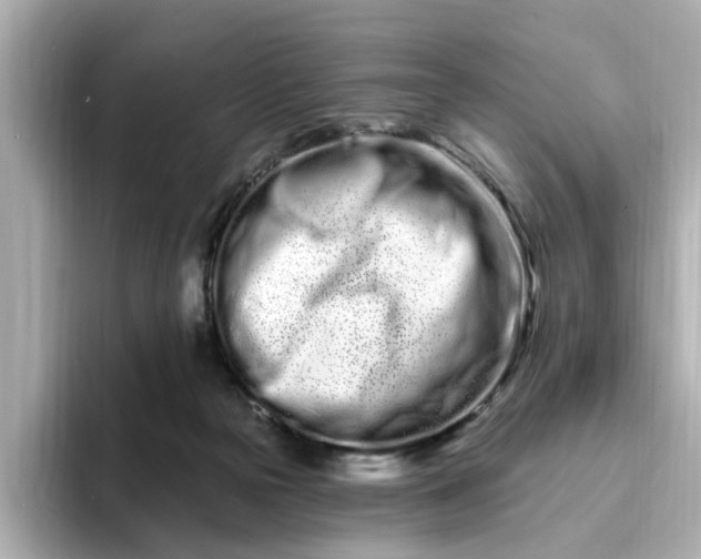 X0000095130169200712211337