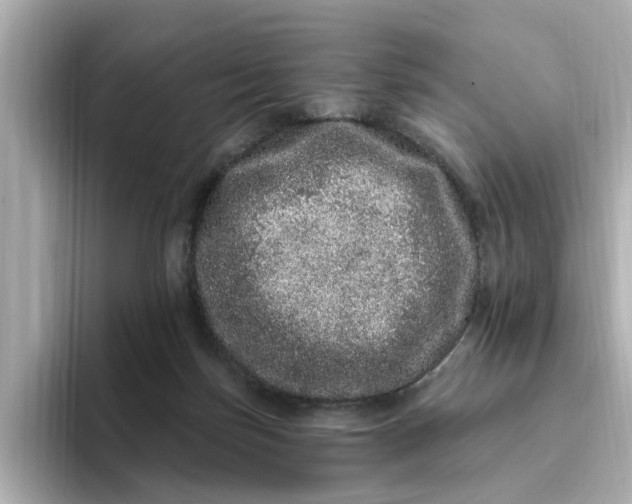 X0000095130171200712211337