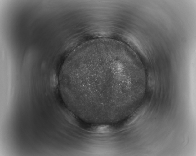 X0000095130173200712211337