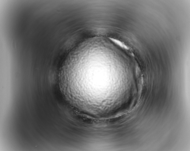 X0000095130175200712211337