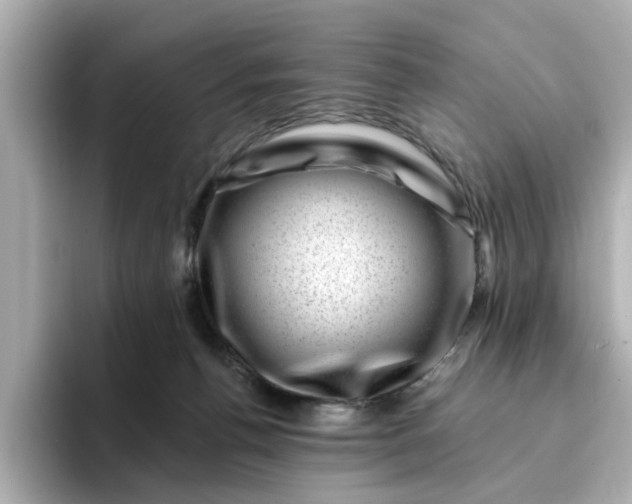 X0000095130176200712211337