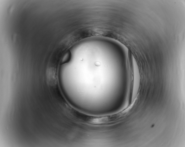 X0000095130178200712211337