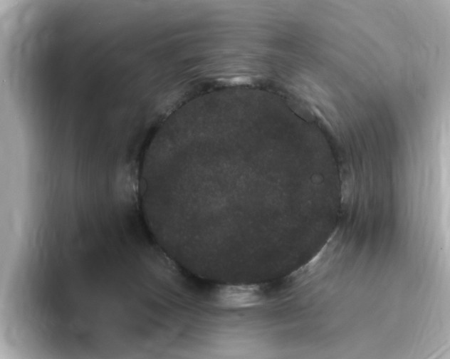 X0000095130179200712211337