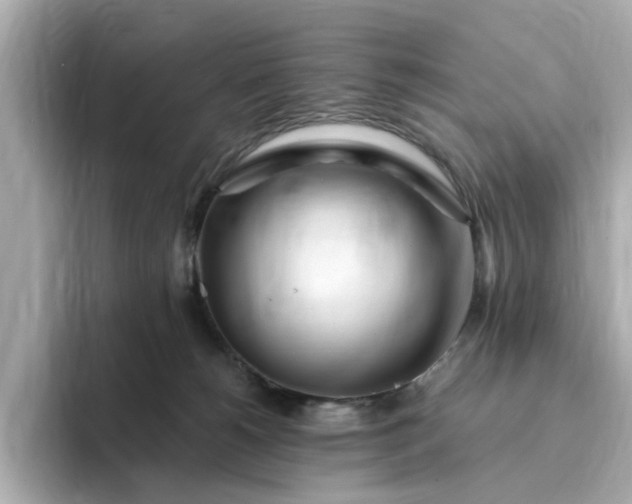 X0000095130180200712211337