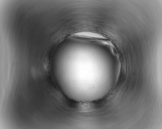 X0000095130181200712211337