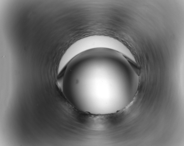 X0000095130186200712211337