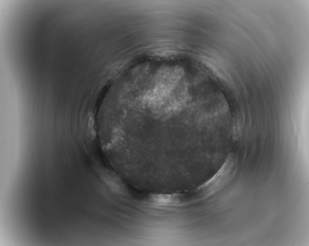 X0000095130187200712211337