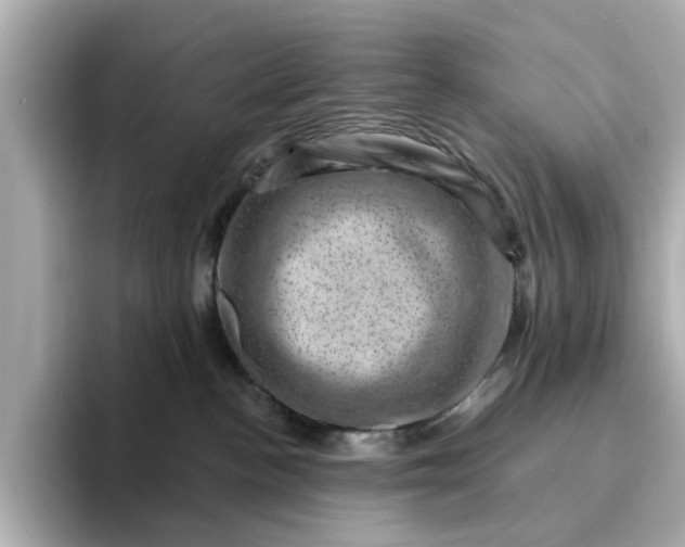 X0000095130188200712211337