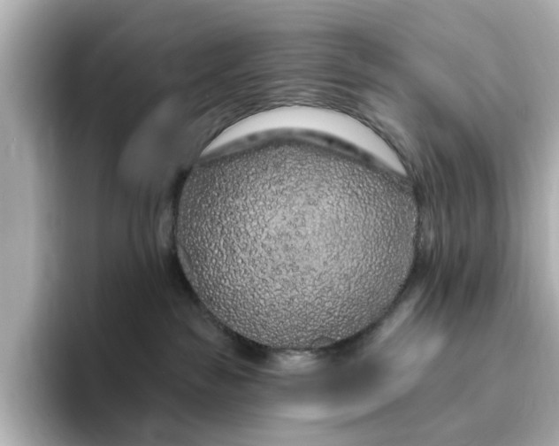 X0000095130189200712211337