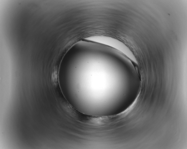 X0000095130190200712211337