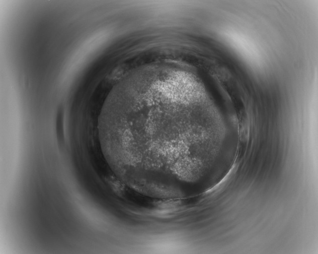 X0000095130191200712211337