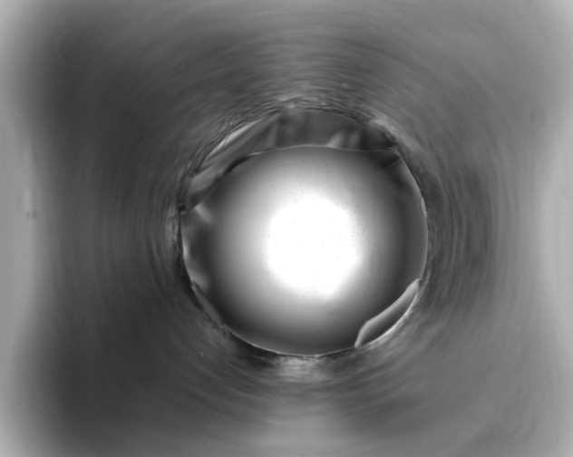 X0000095130192200712211337