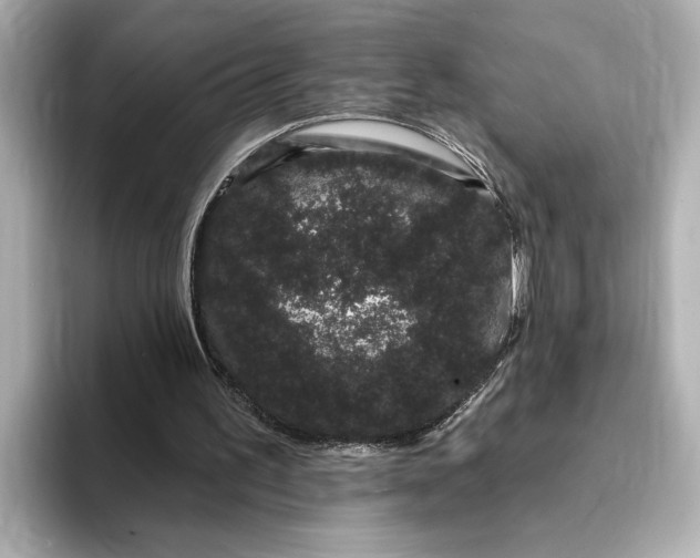 X0000095130195200712211337