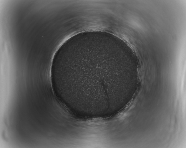 X0000095130196200712211337