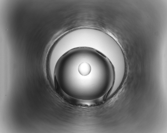 X0000095130199200712211336