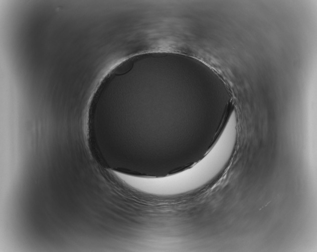 X0000095130200200712211336