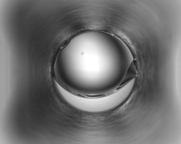 X0000095130201200712211336