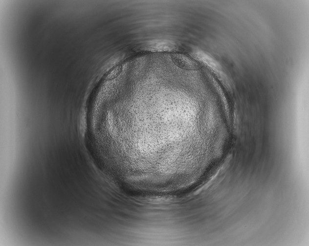 X0000095130202200712211336