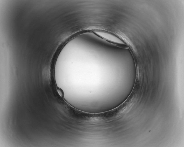 X0000095130204200712211336