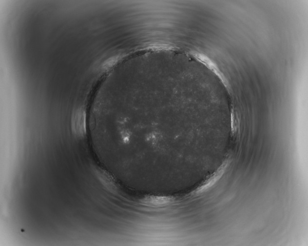 X0000095130205200712211336