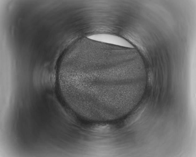 X0000095130206200712211336