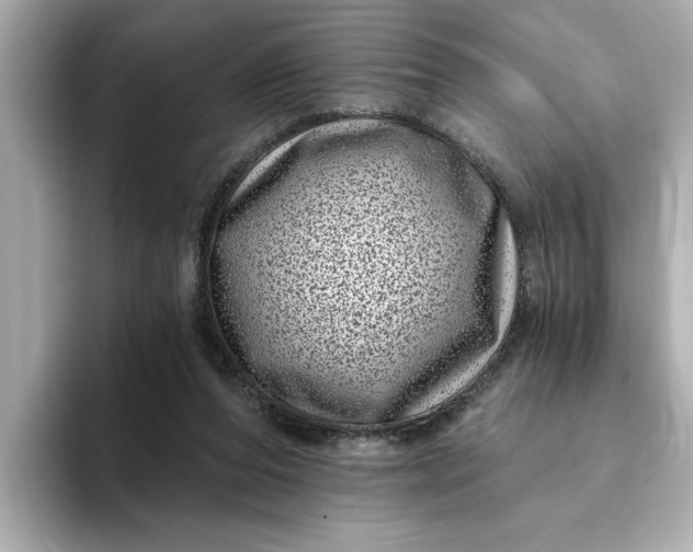 X0000095130208200712211336