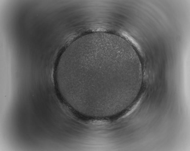 X0000095130209200712211336