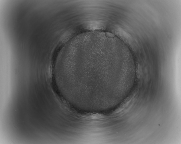 X0000095130210200712211336