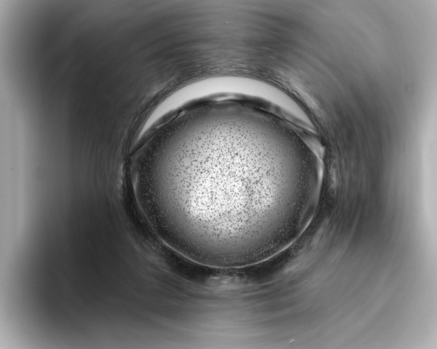 X0000095130211200712211336