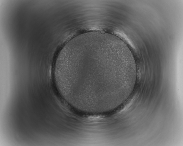 X0000095130213200712211336