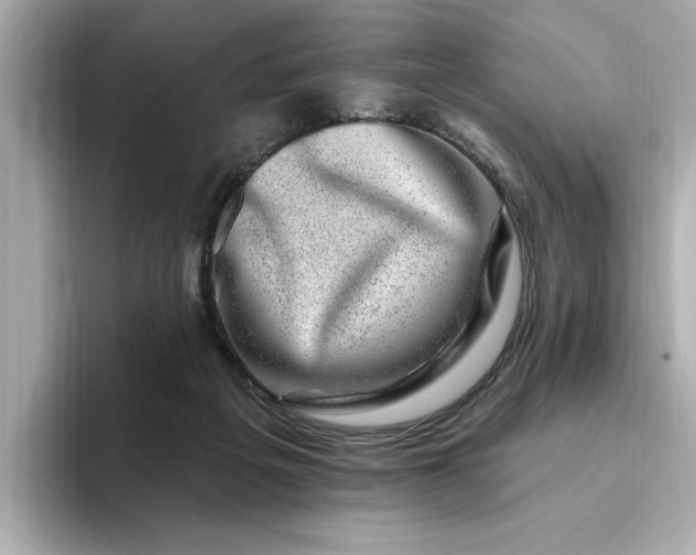 X0000095130217200712211336