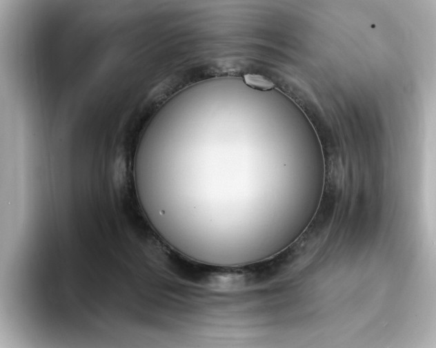 X0000095130220200712211336