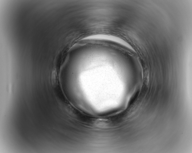 X0000095130222200712211336