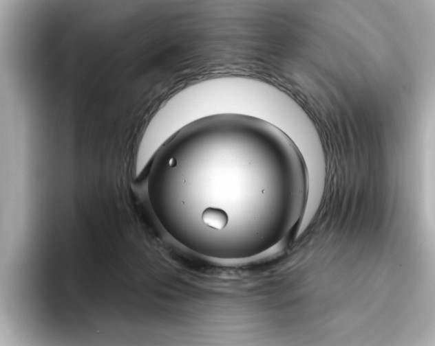 X0000095130223200712211336