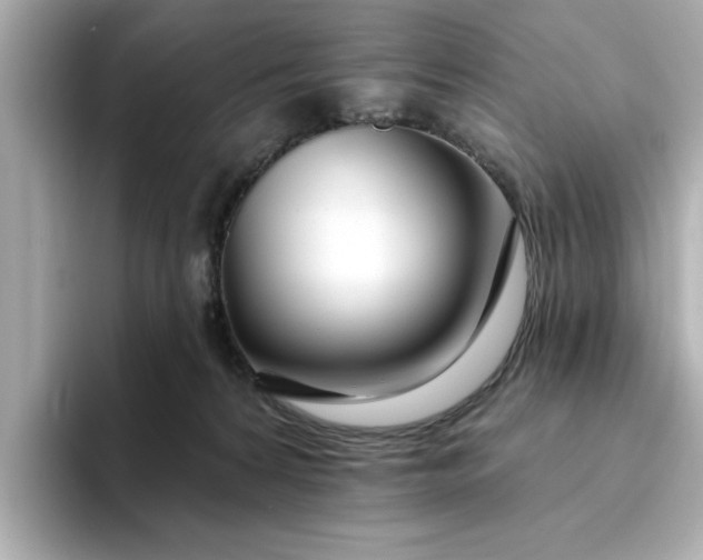 X0000095130224200712211336