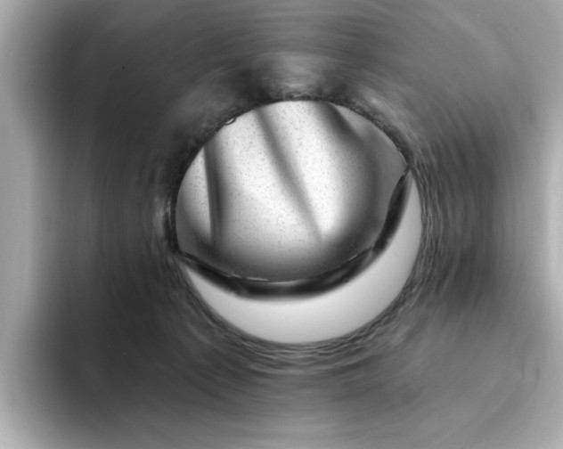 X0000095130225200712211336