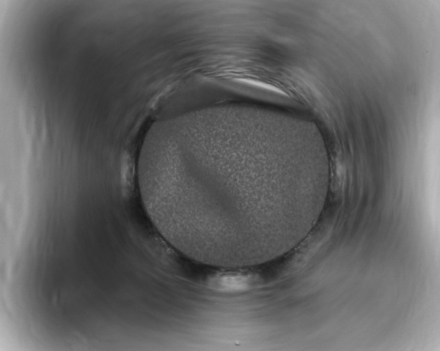 X0000095130228200712211336